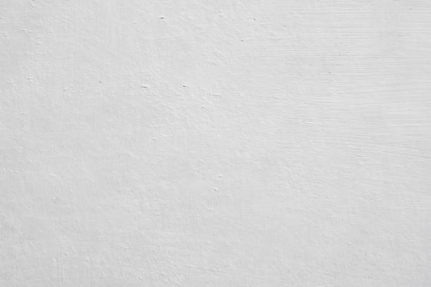 Mold Exposure & Symptoms
