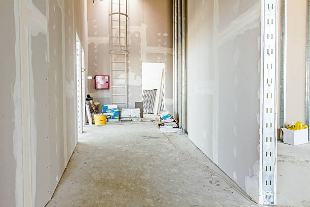 Best Black Mold Removal  in Waterbury, CT